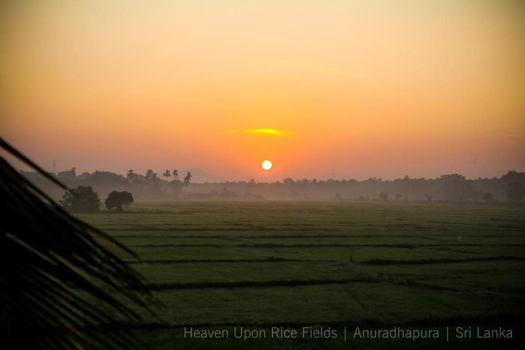 Heaven Upon Rice Fields Bed & Breakfast Anuradhapura Bagian luar foto