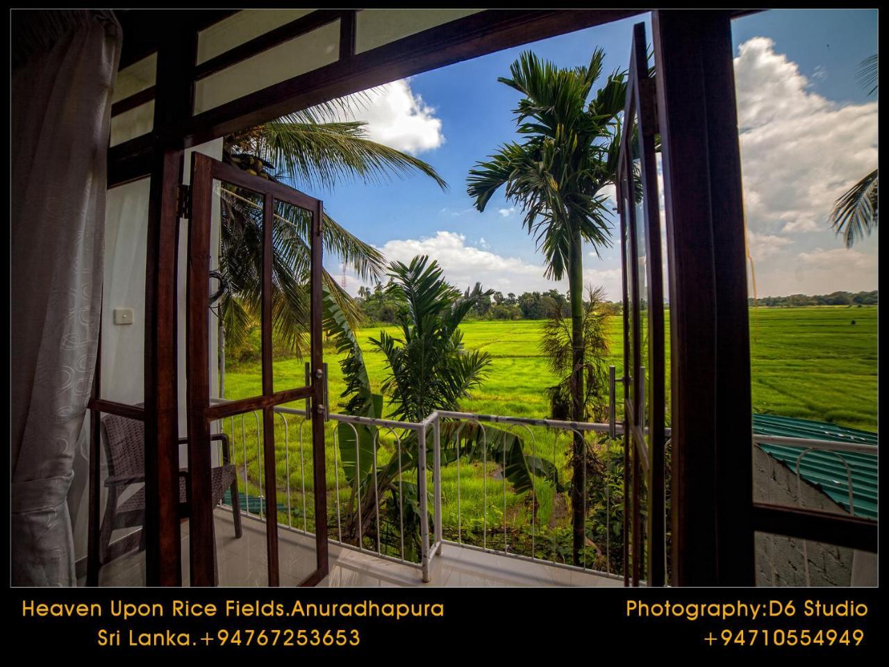 Heaven Upon Rice Fields Bed & Breakfast Anuradhapura Bagian luar foto