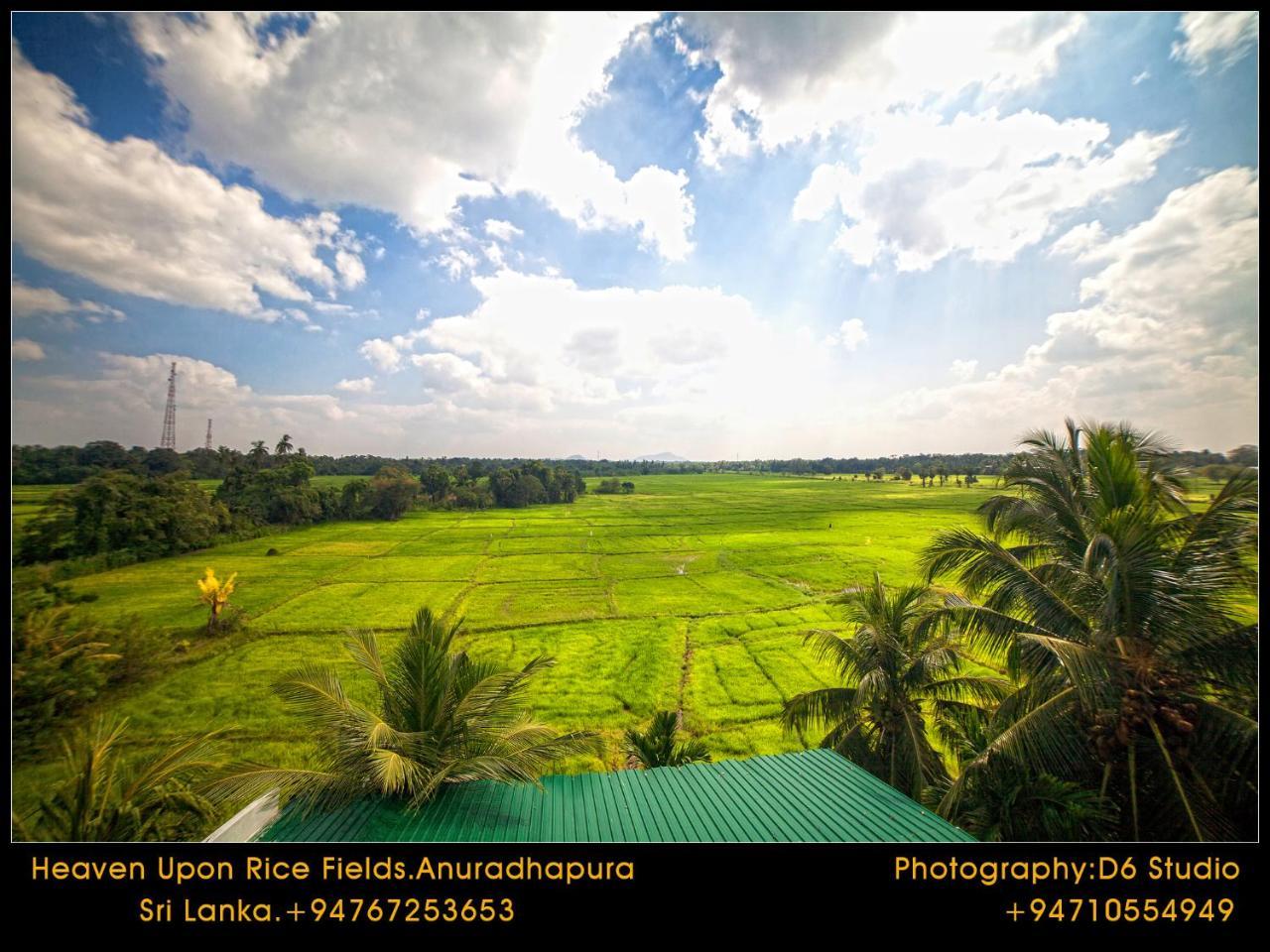 Heaven Upon Rice Fields Bed & Breakfast Anuradhapura Bagian luar foto