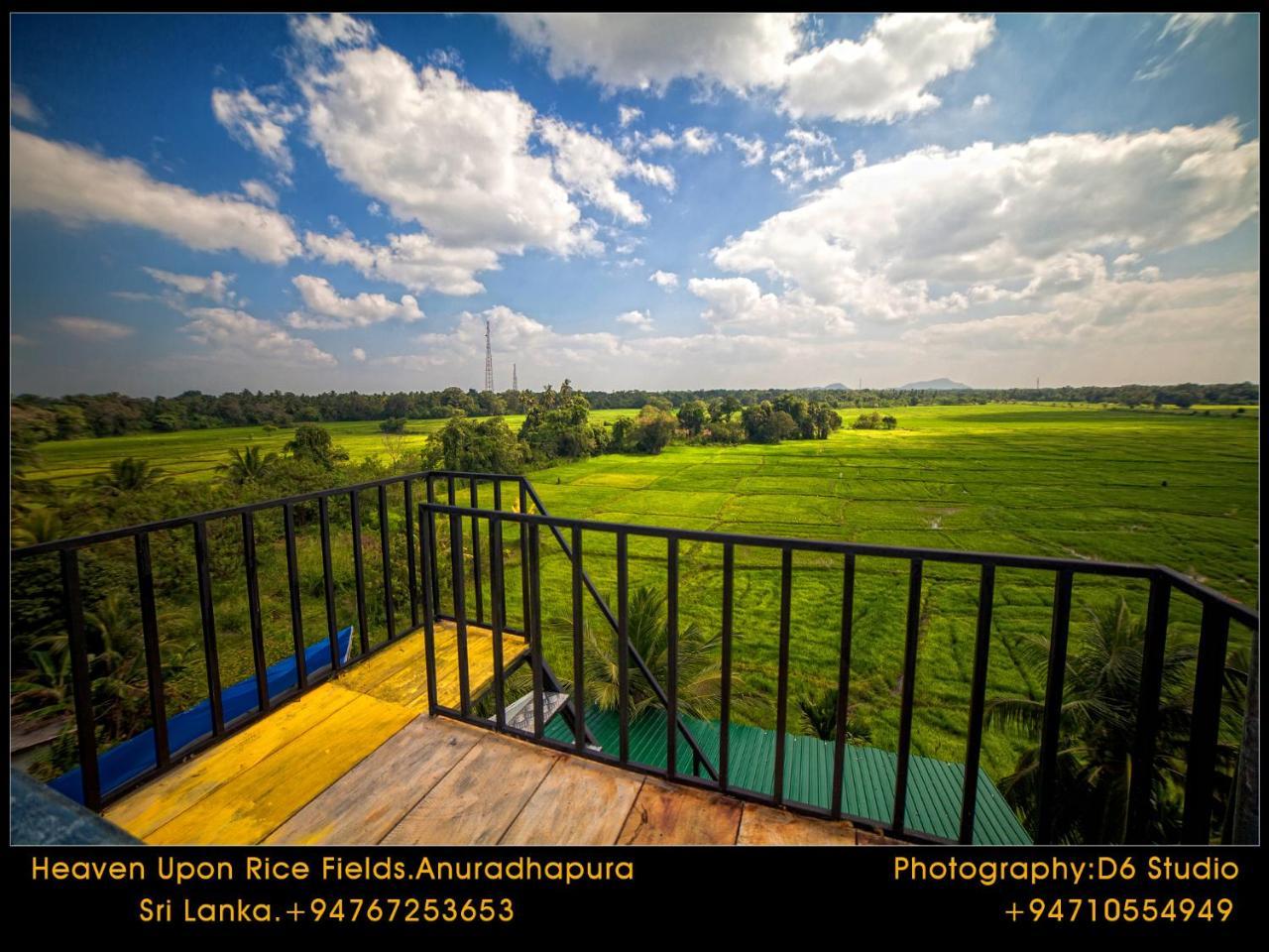 Heaven Upon Rice Fields Bed & Breakfast Anuradhapura Bagian luar foto